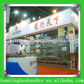 Huaxing chicken layer cage/chicken breeder cage/brooder cage for chicken